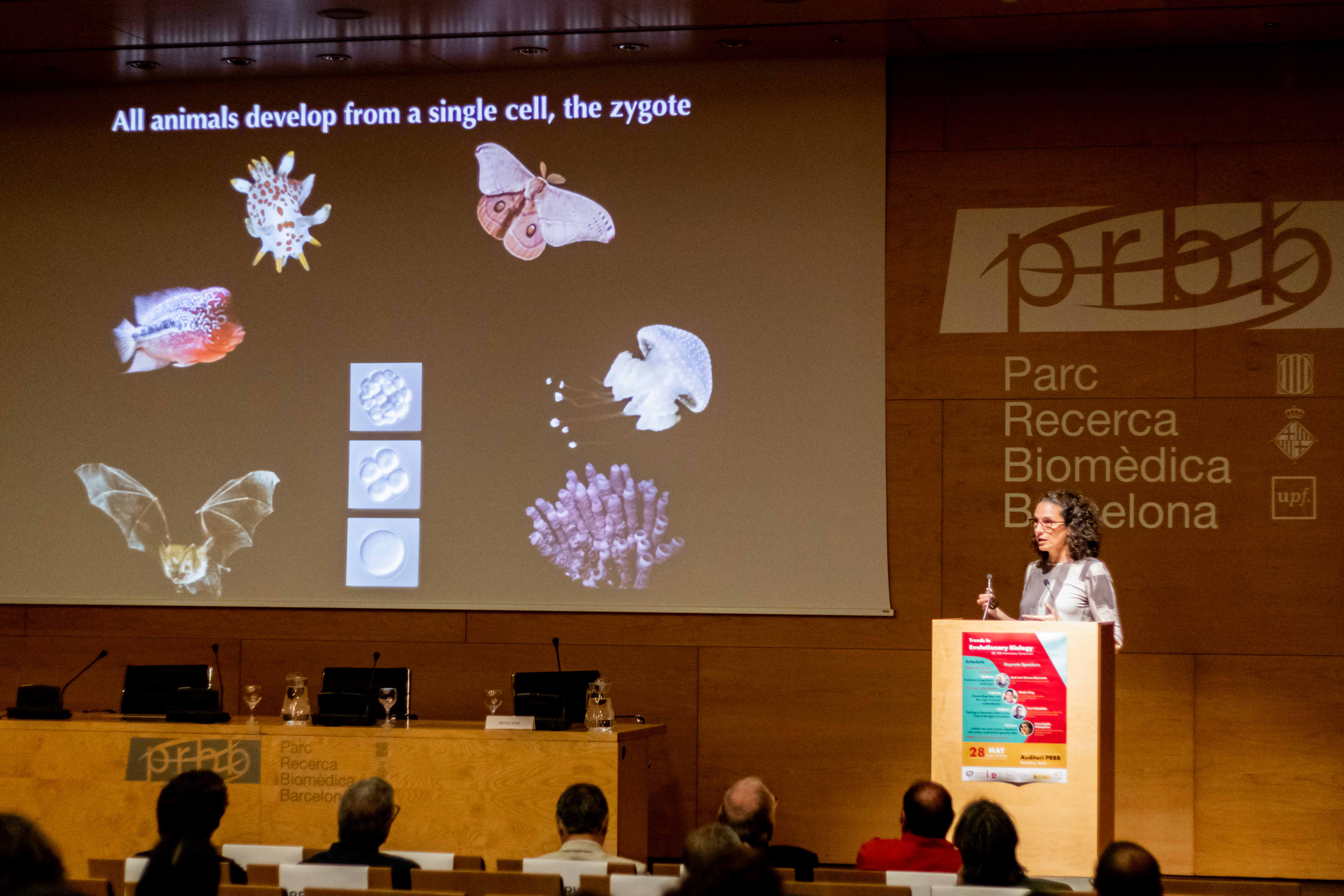 Nicole King; credit: Pilar Rodríguez