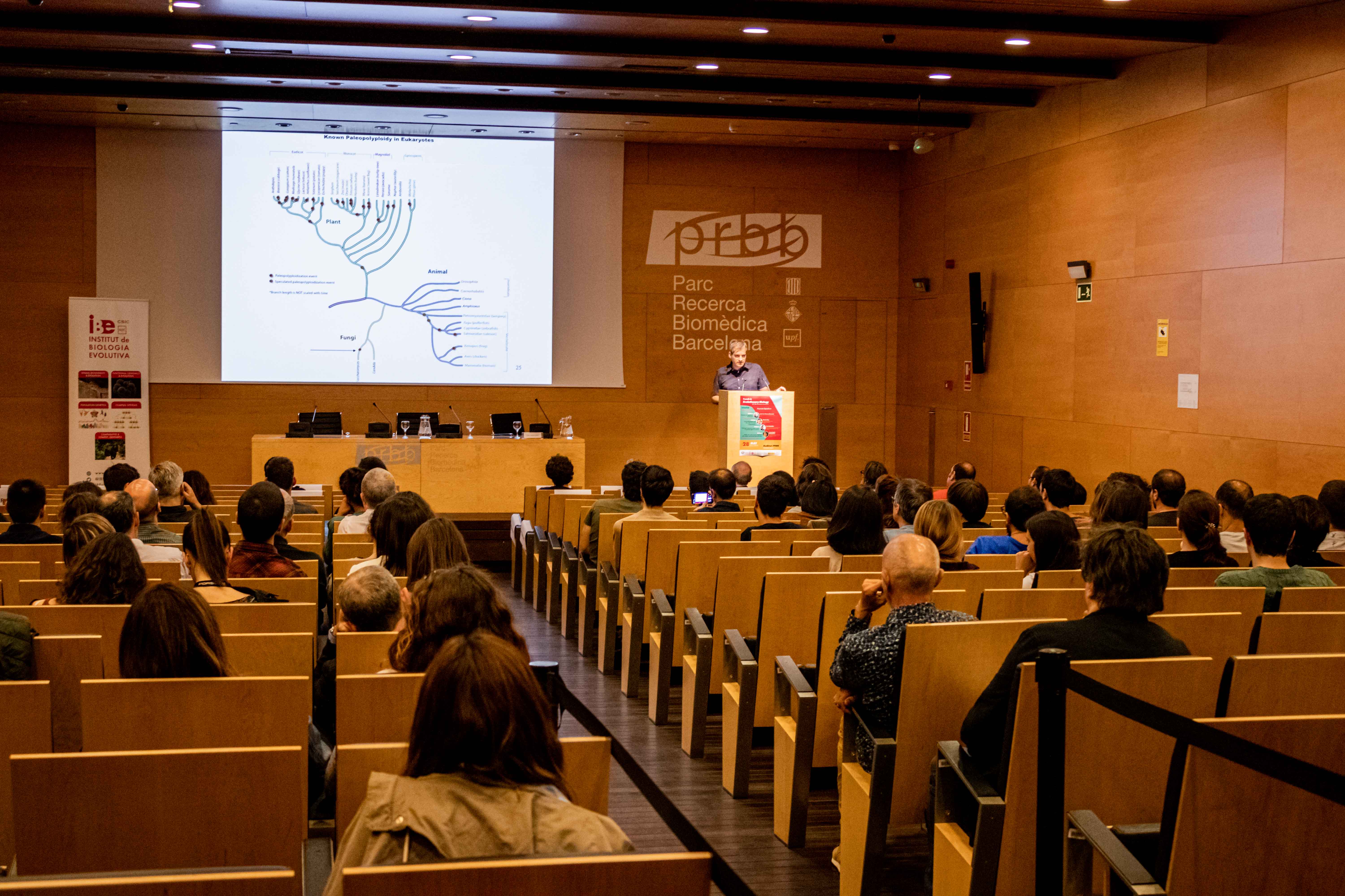 Toni Gabaldón; credit: Pilar Rodríguez