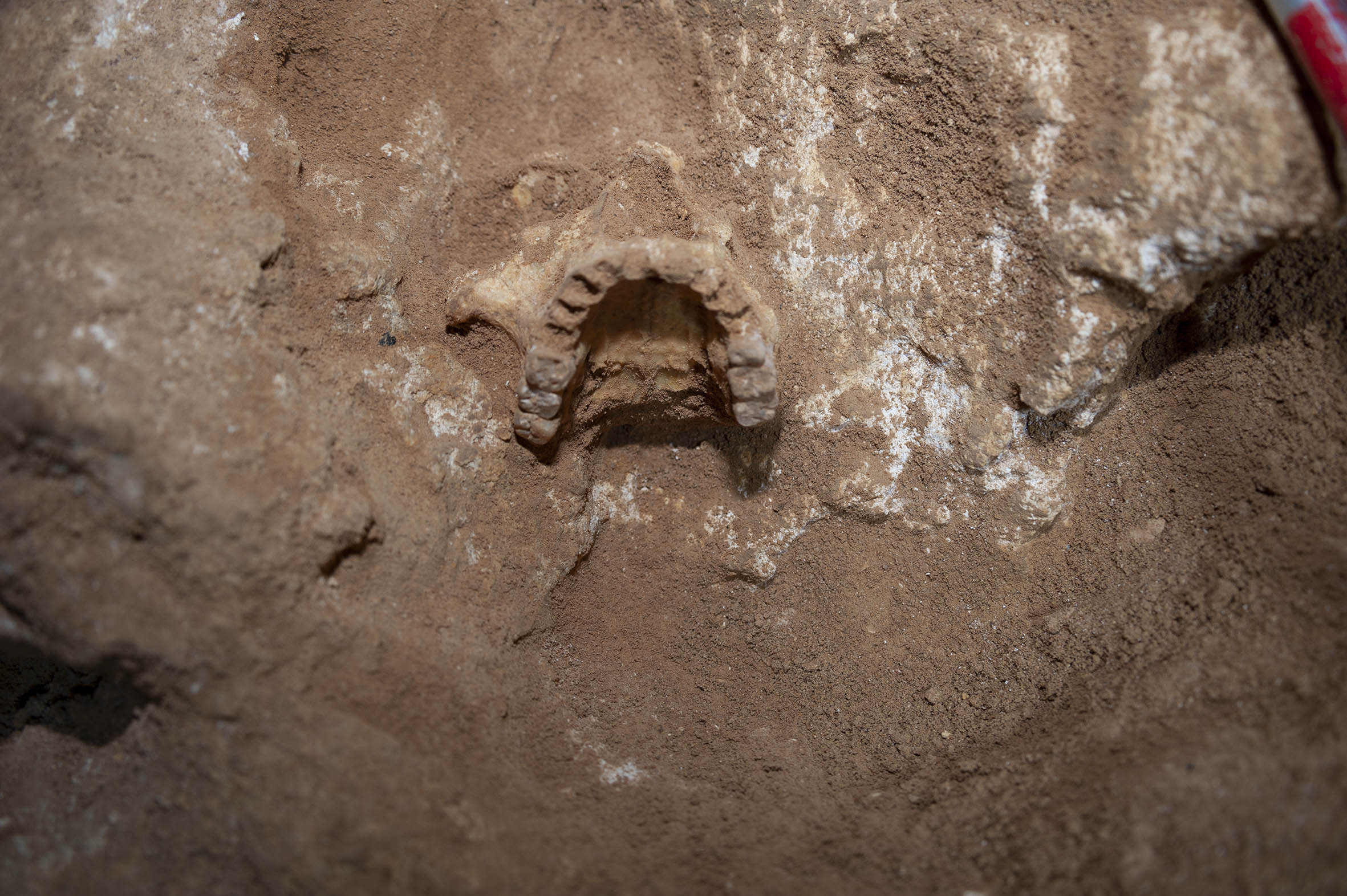 Images of cave 127 in Formentera. Credit: Dr. Edgard Camarós.