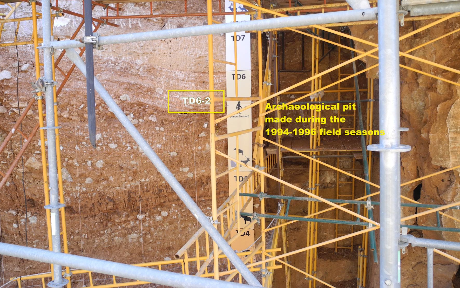 Homo antecessor fossils were found in sublevel TD6.2 at the Gran Dolina site, Sierra de Atapuerca (Burgos, Spain). Credits: Prof. José María Bermúdez de Castro.