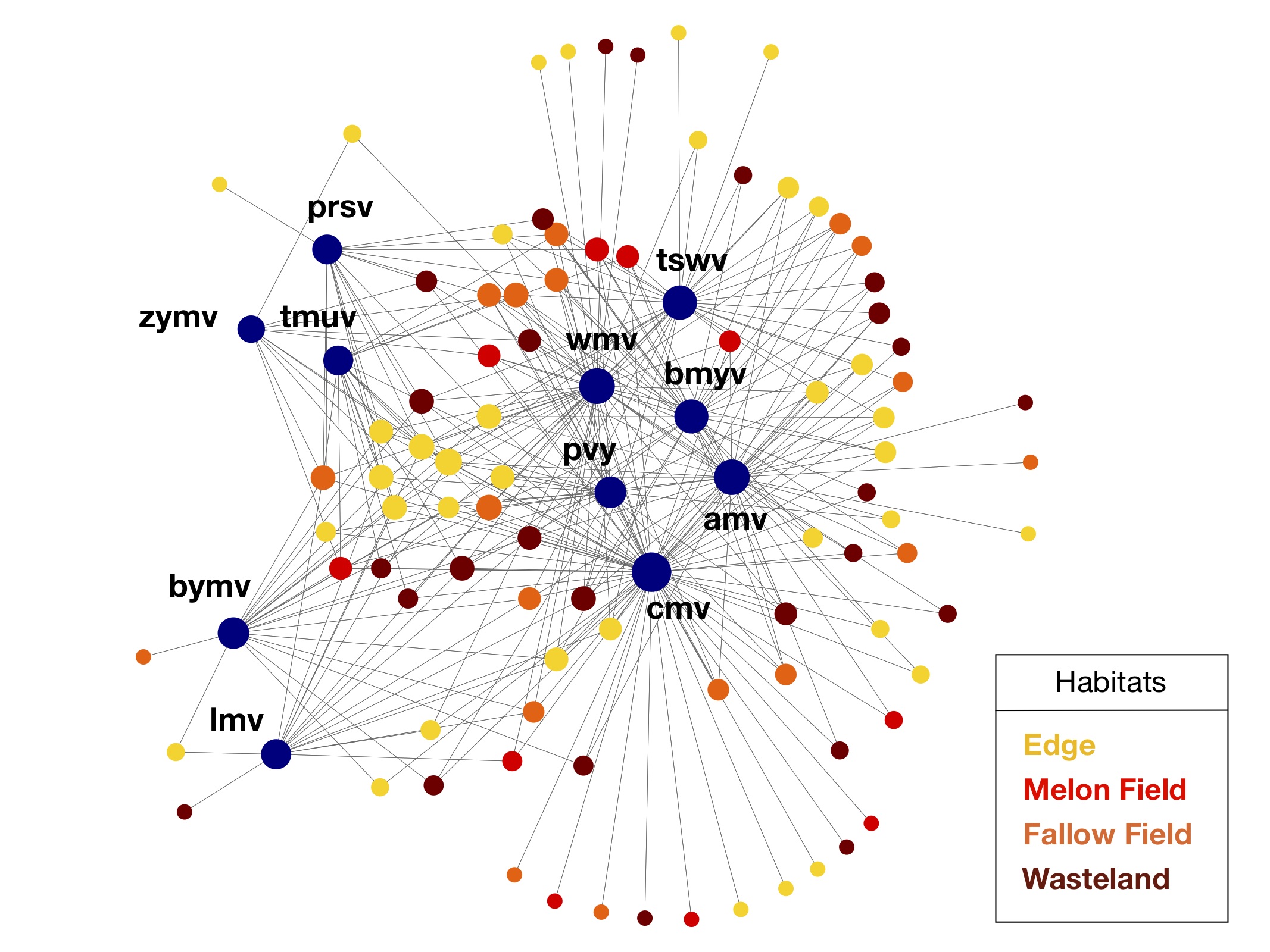 El nou objecte matemàtic millora la teoria de les xarxes ecològiques en oferir una visió integradora de les infeccions al medi natural. Fent servir aquesta nova representació matemàtica, es pot estudiar la relació entre hàbitat i possibilitat d'infecció de forma directa. Crèdit: Sergi Valverde