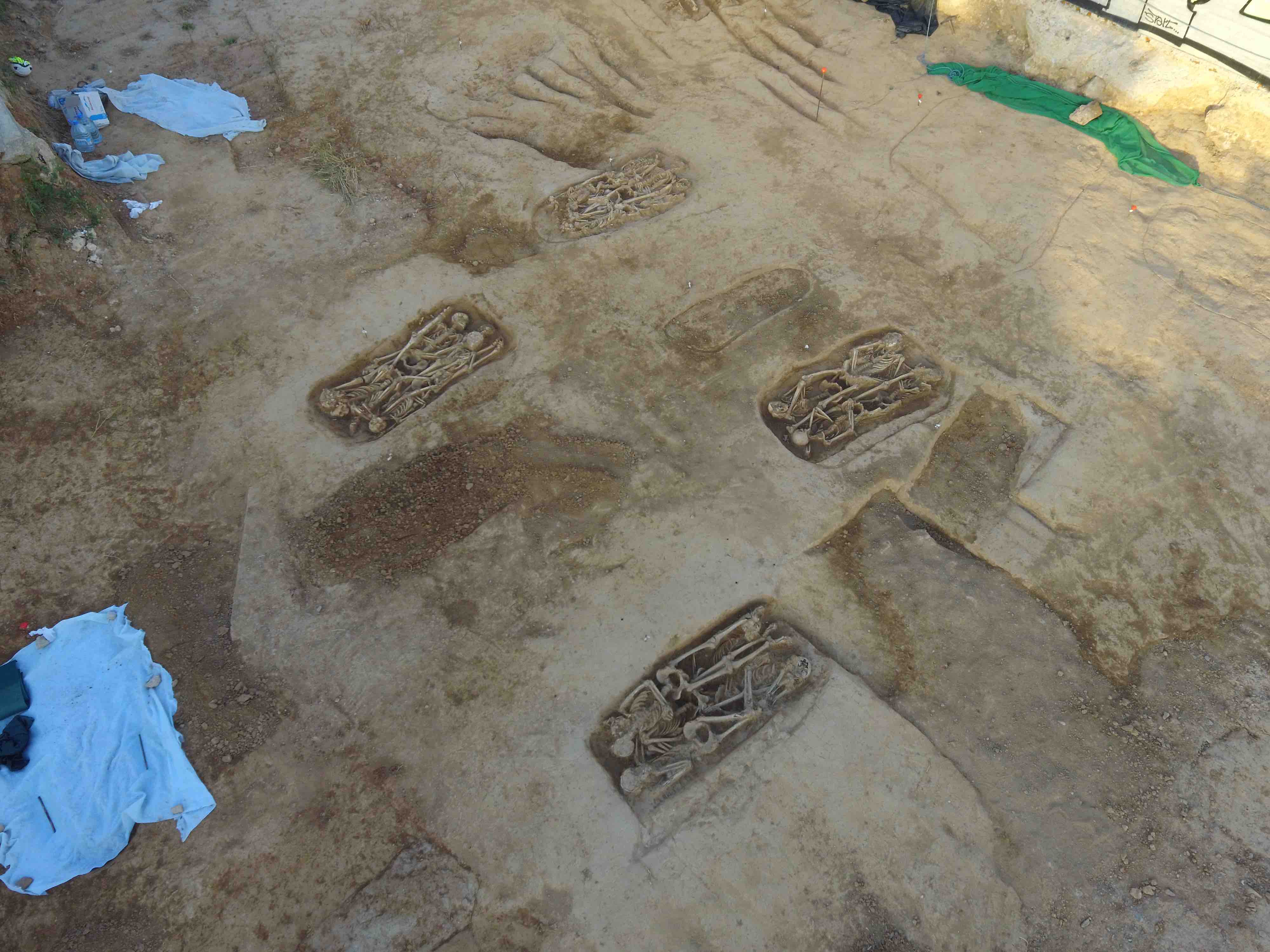 Imatge de l'excavació arqueològica a una fossa comuna de la Sagrera (Sant Martí de Provençals).  Crèdit: Didac Pàmies.