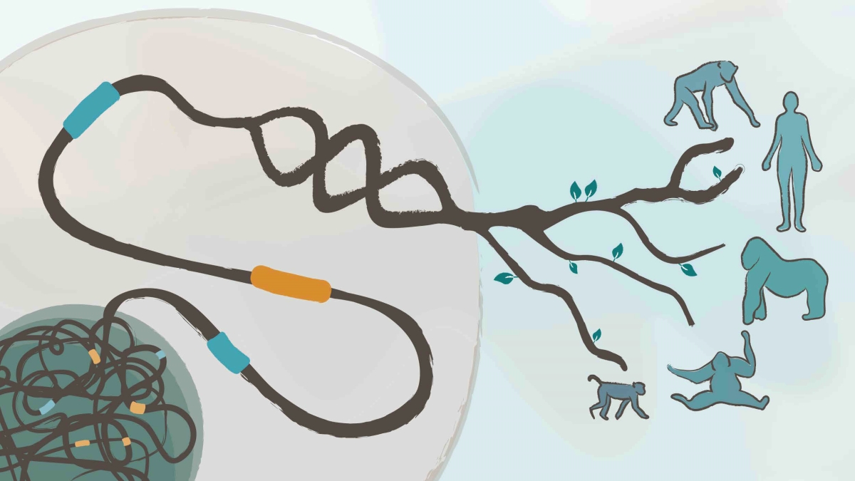 Credit: Marina Alvarez Estapé