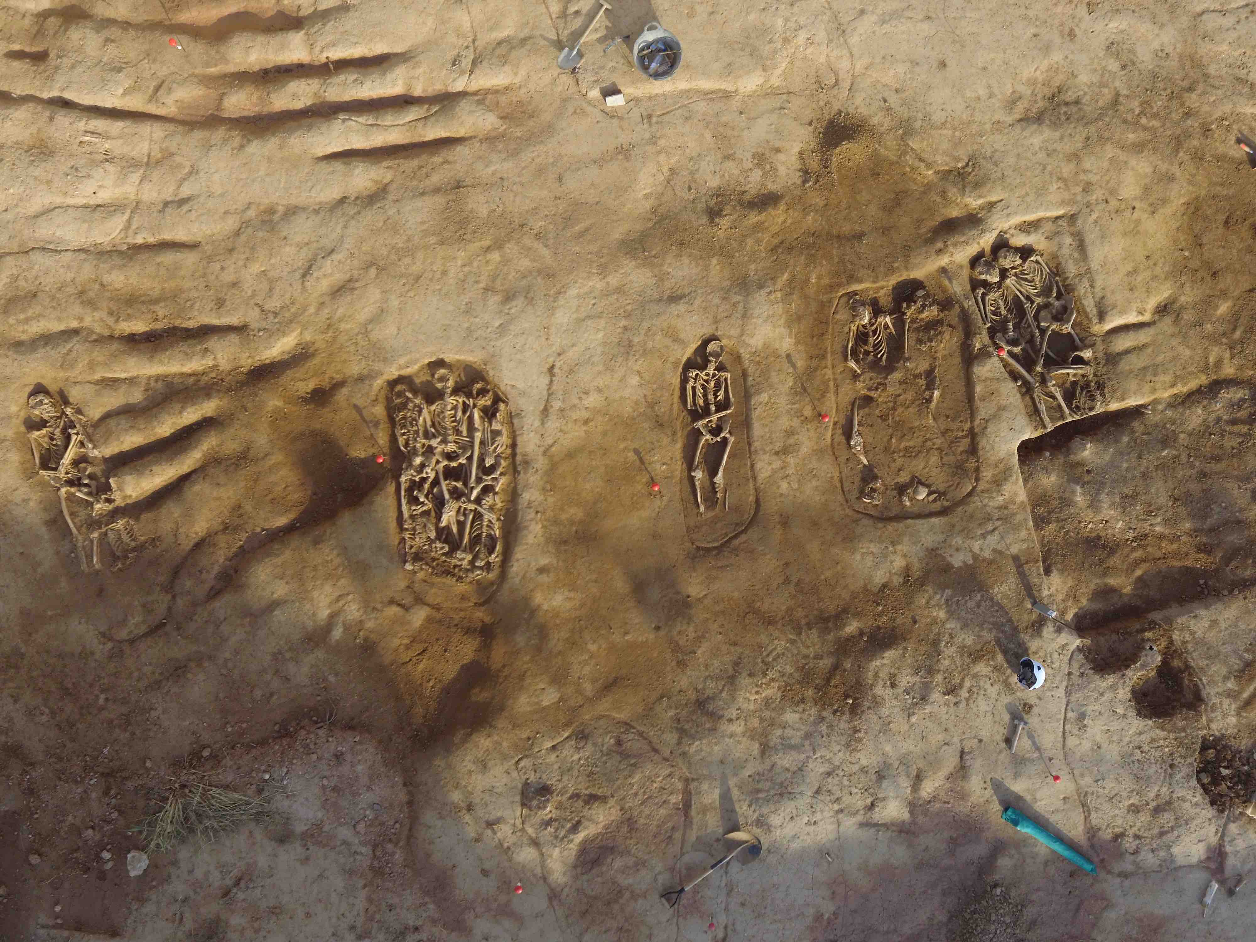 Image of the archaeological excavation in a mass grave in La Sagrera (Sant Martí de Provençals). Credit: Didac Pàmies.