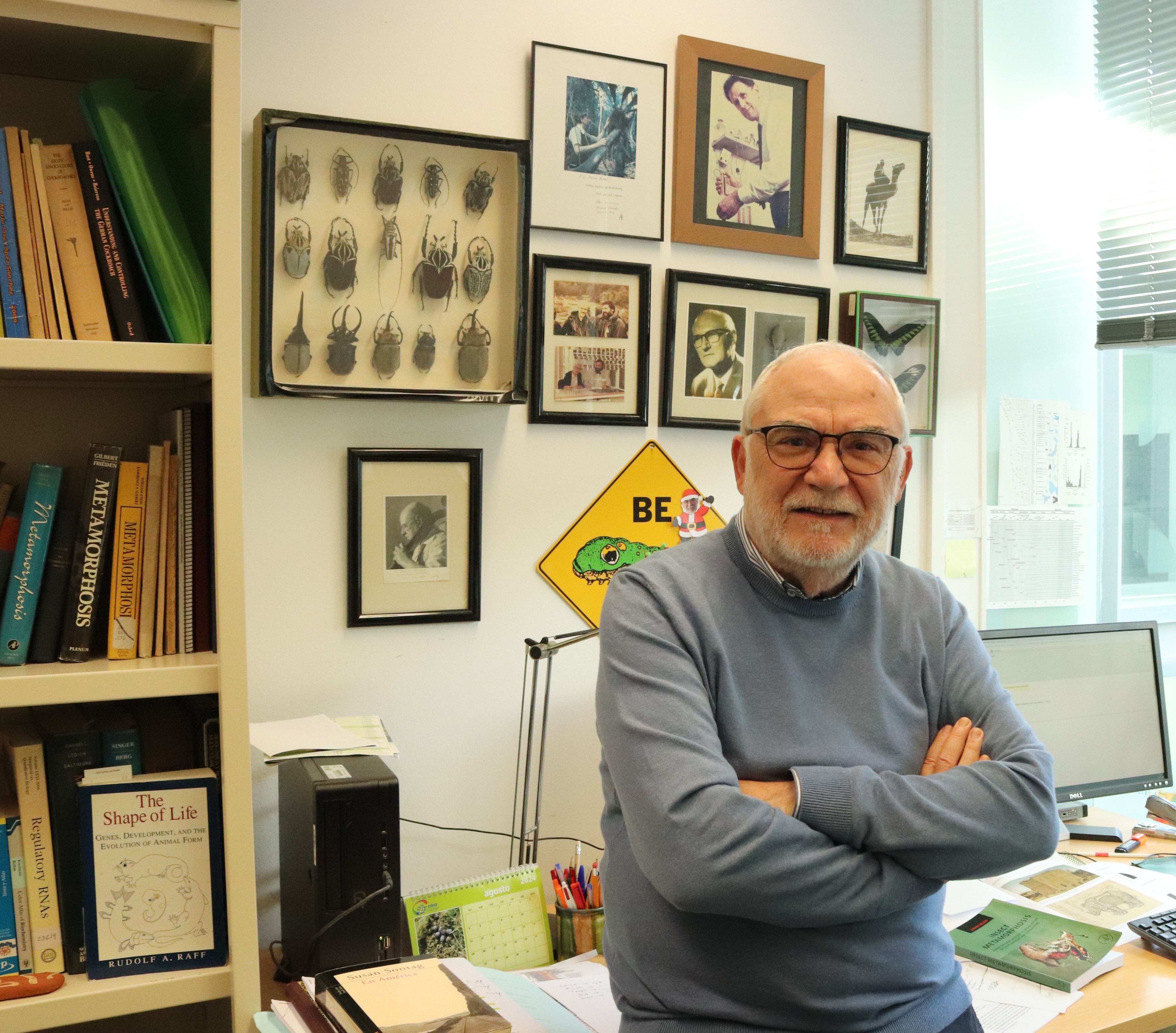 Xavier Bellés, Investigador Principal de l'IBE i Membre Honorari de l'ANIE Imatge inicial - Xavier Bellés, Investigador Principal de l'IBE i Membre Honorari de l'ANIE