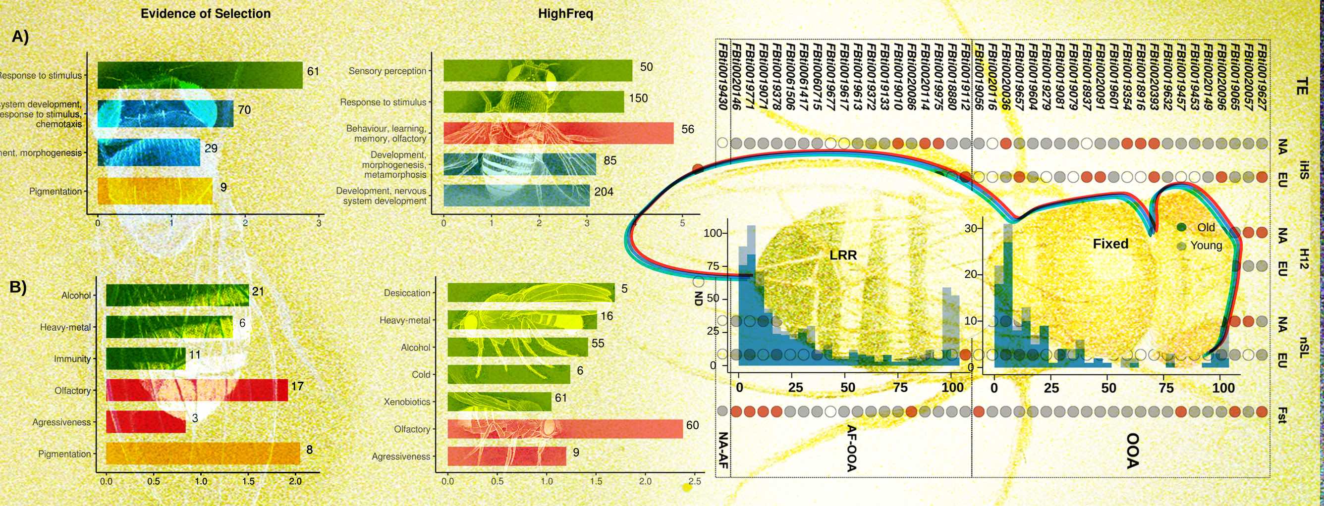 Illustration based on the data analyzed in the study of Dr. González. Credit: Roberto Torres.